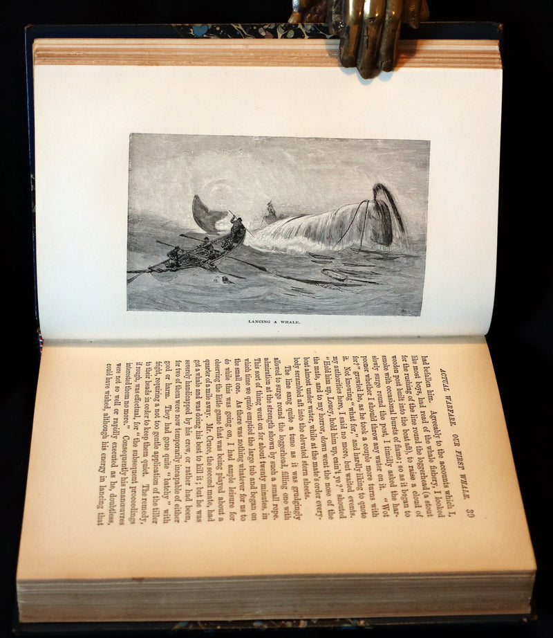 1900 Rare Book bound by Root & Son - The CRUISE Of The "CACHALOT" Round the World After Sperm Whales.