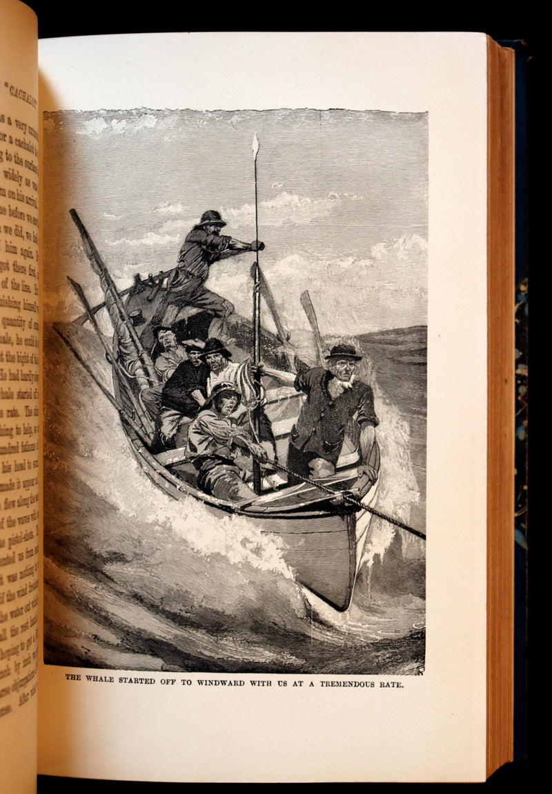 1900 Rare Book bound by Root & Son - The CRUISE Of The "CACHALOT" Round the World After Sperm Whales.