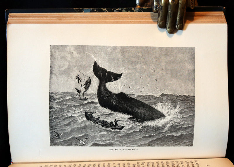 1900 Rare Book bound by Root & Son - The CRUISE Of The "CACHALOT" Round the World After Sperm Whales.