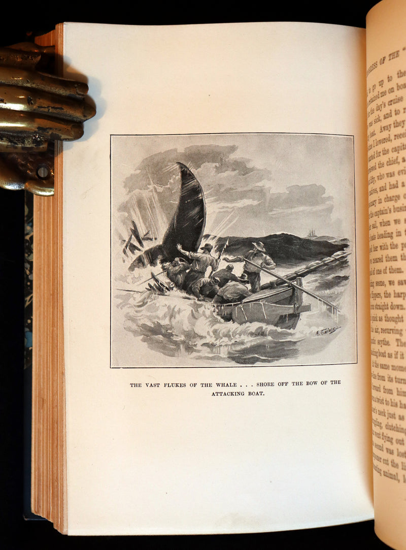 1900 Rare Book bound by Root & Son - The CRUISE Of The "CACHALOT" Round the World After Sperm Whales.