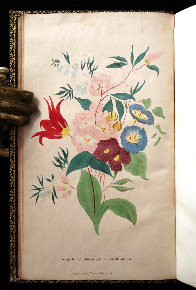 1840 Rare Floriography Book ~ Flora's Interpreter American Flowers & Sentiments.