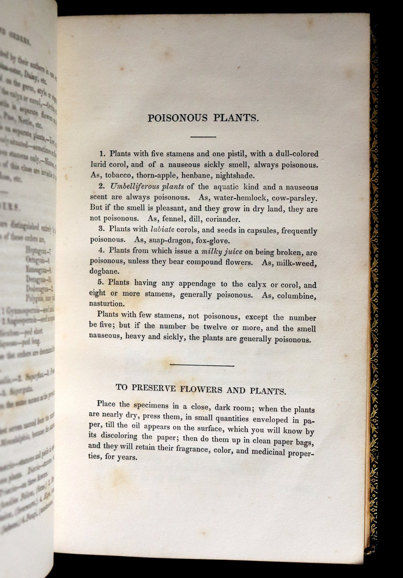 1840 Rare Floriography Book ~ Flora's Interpreter American Flowers & Sentiments.