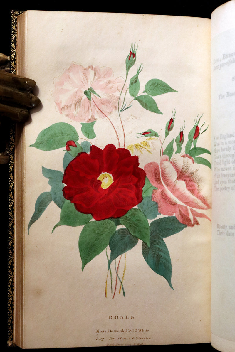 1840 Rare Floriography Book ~ Flora's Interpreter American Flowers & Sentiments.