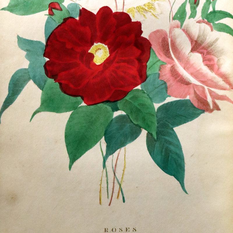 1840 Rare Floriography Book ~ Flora's Interpreter American Flowers & Sentiments.