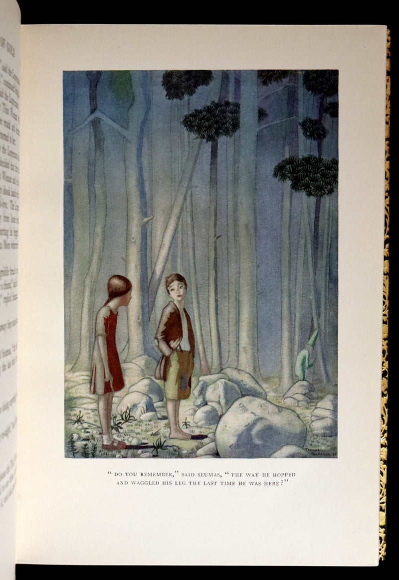 1926 Rare Book bound by Bayntun - The Crock of Gold by James Stephen & illustrated by Thomas Mackenzie.