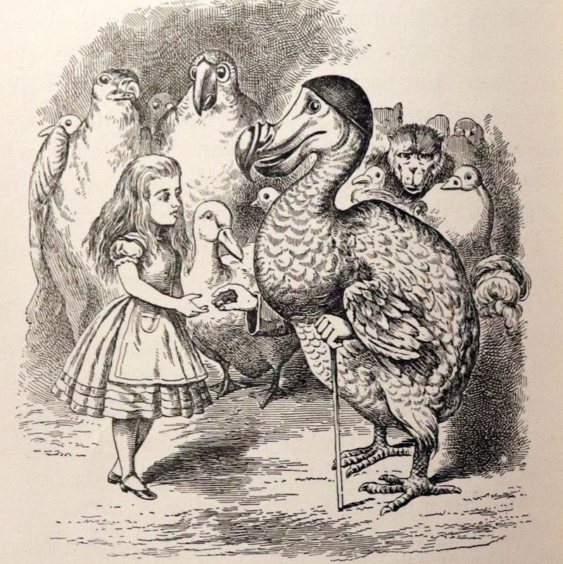 1900 Scarce McLoughlin Edition - Alice's Adventures in Wonderland by Lewis Carroll.