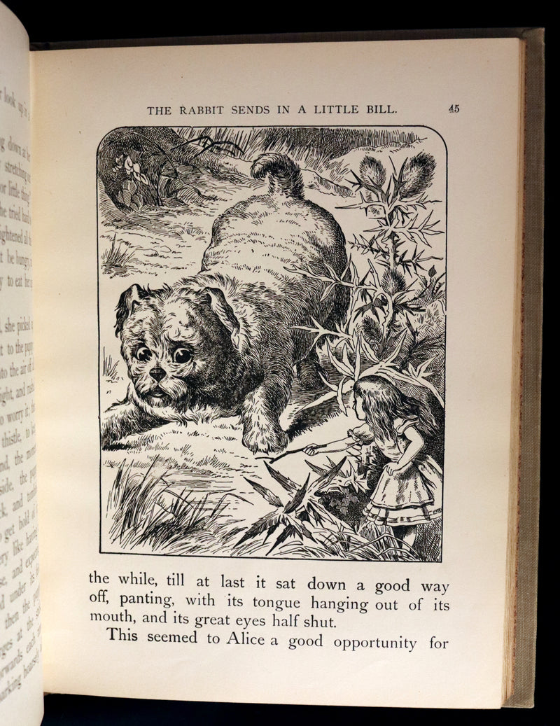 1900 Scarce McLoughlin Edition - Alice's Adventures in Wonderland by Lewis Carroll.