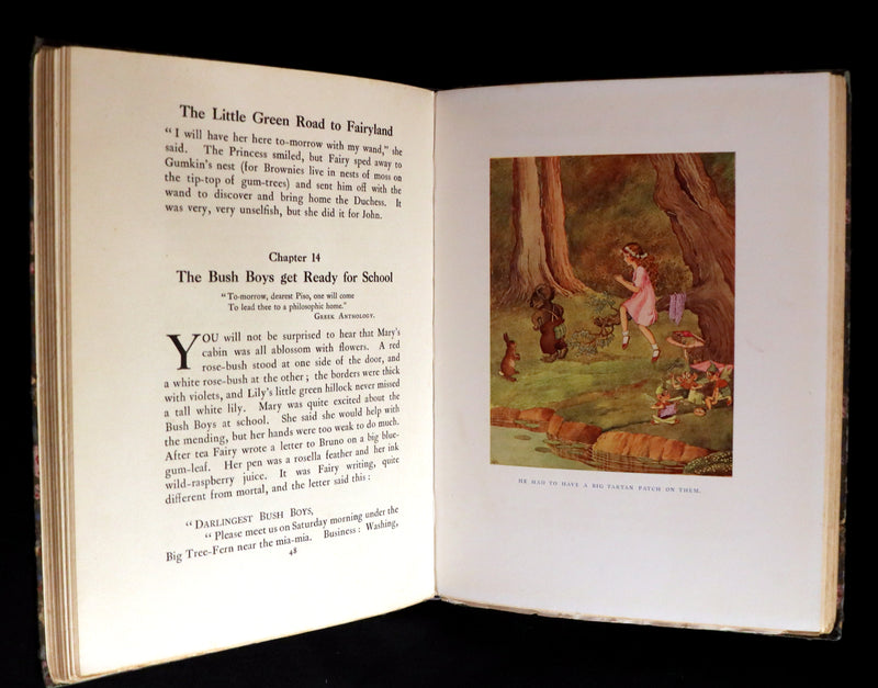 1922 Rare First Edition - The Little Green Road to Fairyland by Ida Rentoul Outhwaite illustrated.