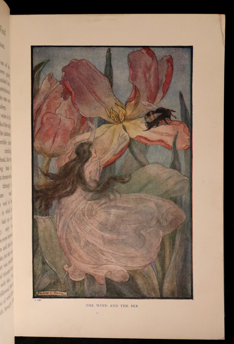 1911 Rare Book - AT THE BACK OF THE NORTH WIND Illustrated by Frank C. Pape.