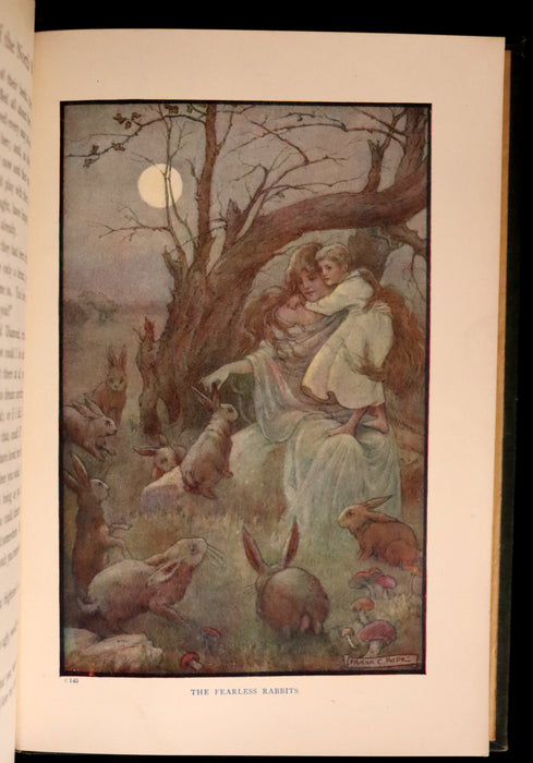 1911 Rare Book - AT THE BACK OF THE NORTH WIND Illustrated by Frank C. Pape.