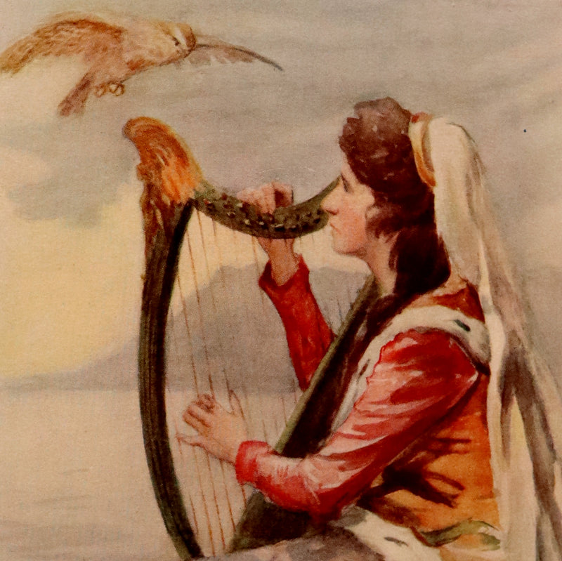 1911 Rare First Edition - The CELTIC DRAGON MYTH with the Geste of Faroch and the Dragon.