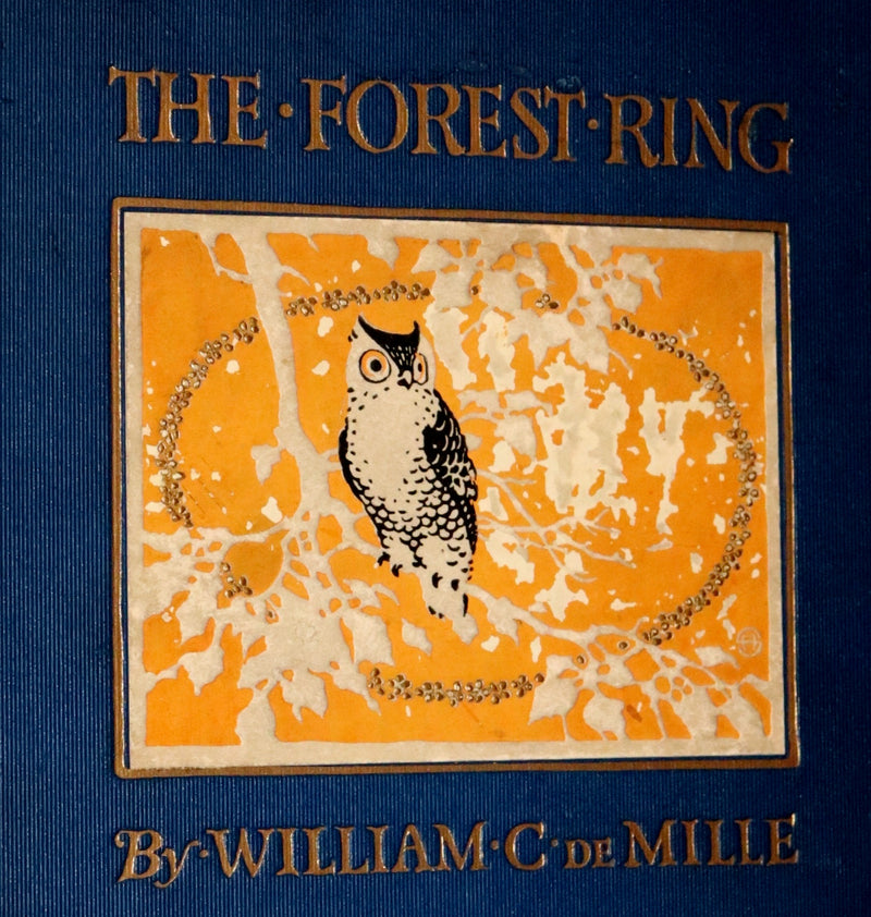 1914 Rare First Edition - THE FOREST RING by William C. De Mille, illustrated by Harold Sichel.