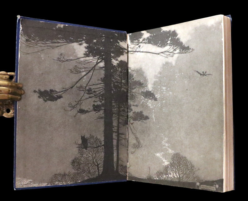 1914 Rare First Edition - THE FOREST RING by William C. De Mille, illustrated by Harold Sichel.