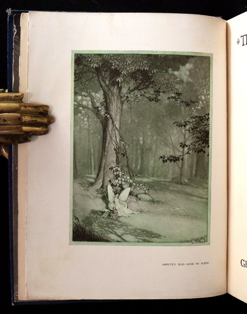 1914 Rare First Edition - THE FOREST RING by William C. De Mille, illustrated by Harold Sichel.