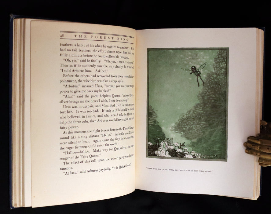 1914 Rare First Edition - THE FOREST RING by William C. De Mille, illustrated by Harold Sichel.