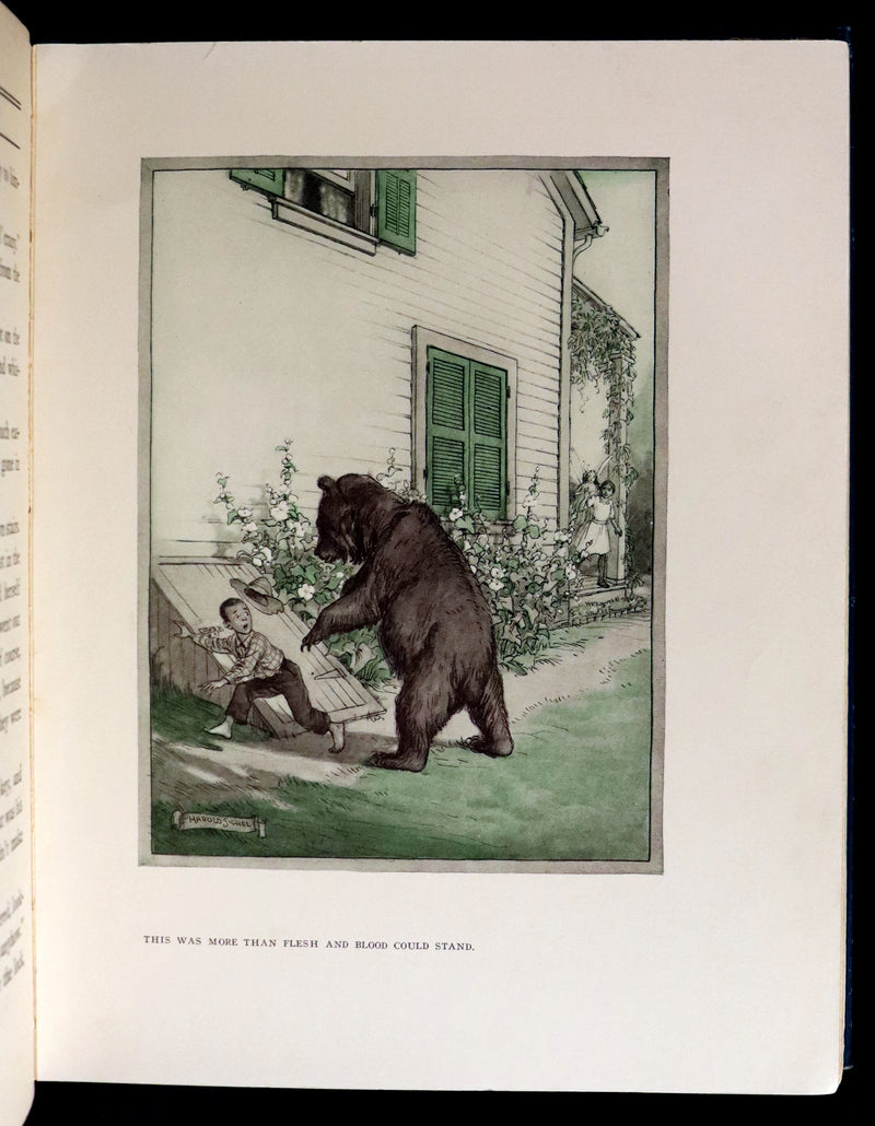 1914 Rare First Edition - THE FOREST RING by William C. De Mille, illustrated by Harold Sichel.