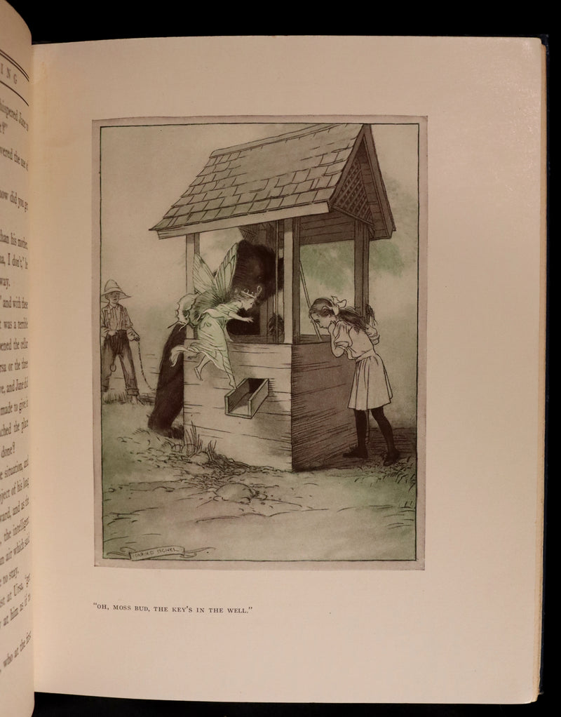 1914 Rare First Edition - THE FOREST RING by William C. De Mille, illustrated by Harold Sichel.