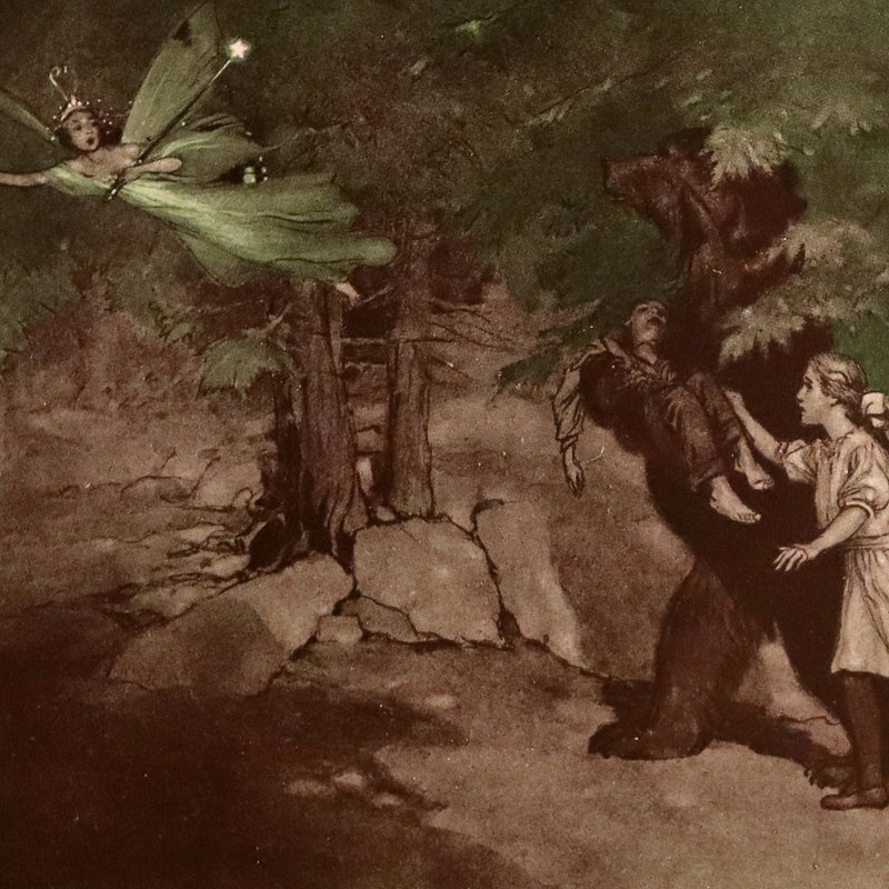 1914 Rare First Edition - THE FOREST RING by William C. De Mille, illustrated by Harold Sichel.