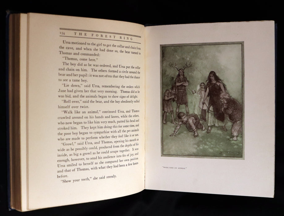 1914 Rare First Edition - THE FOREST RING by William C. De Mille, illustrated by Harold Sichel.