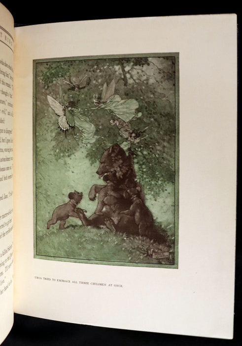 1914 Rare First Edition - THE FOREST RING by William C. De Mille, illustrated by Harold Sichel.