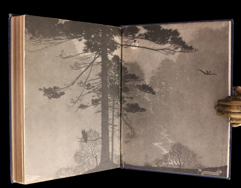 1914 Rare First Edition - THE FOREST RING by William C. De Mille, illustrated by Harold Sichel.