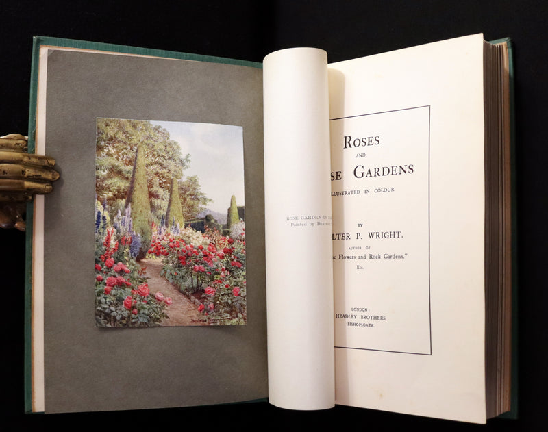 1914 Scarce Gardening Book - ROSES AND ROSE GARDENS by Walter P. Wright.