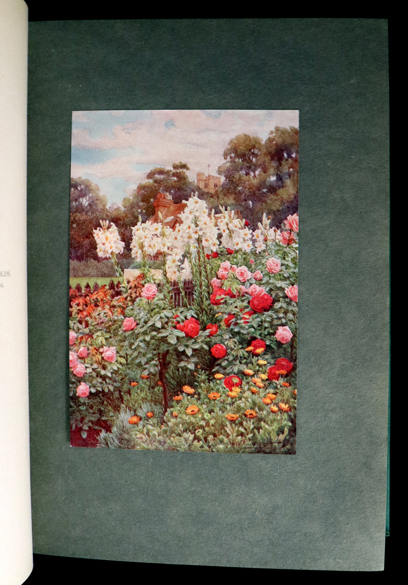 1914 Scarce Gardening Book - ROSES AND ROSE GARDENS by Walter P. Wright.