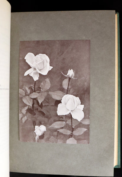 1914 Scarce Gardening Book - ROSES AND ROSE GARDENS by Walter P. Wright.