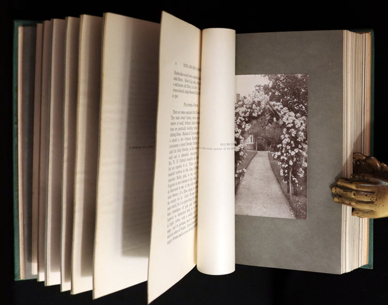 1914 Scarce Gardening Book - ROSES AND ROSE GARDENS by Walter P. Wright.