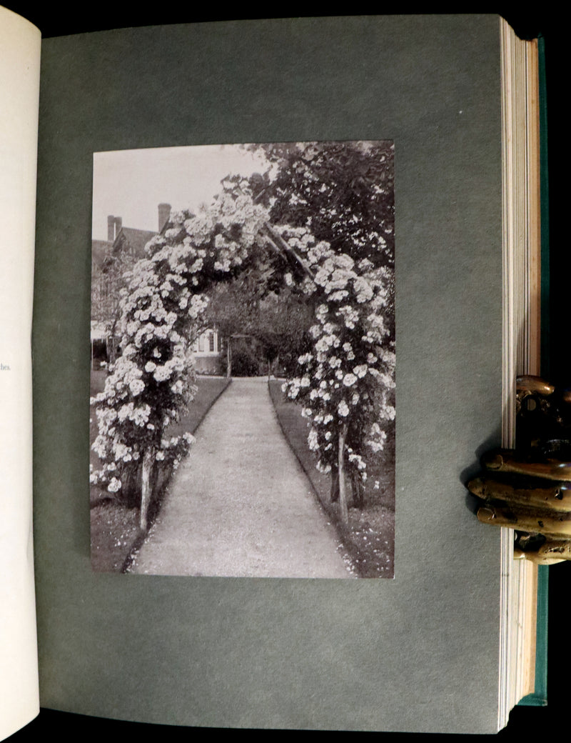 1914 Scarce Gardening Book - ROSES AND ROSE GARDENS by Walter P. Wright.