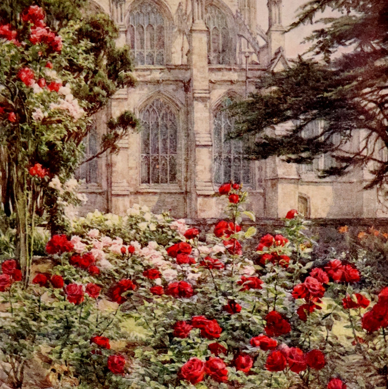 1914 Scarce Gardening Book - ROSES AND ROSE GARDENS by Walter P. Wright.