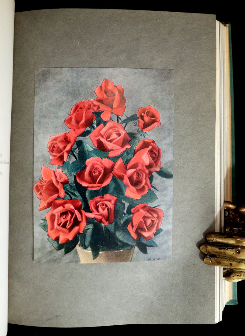 1914 Scarce Gardening Book - ROSES AND ROSE GARDENS by Walter P. Wright.