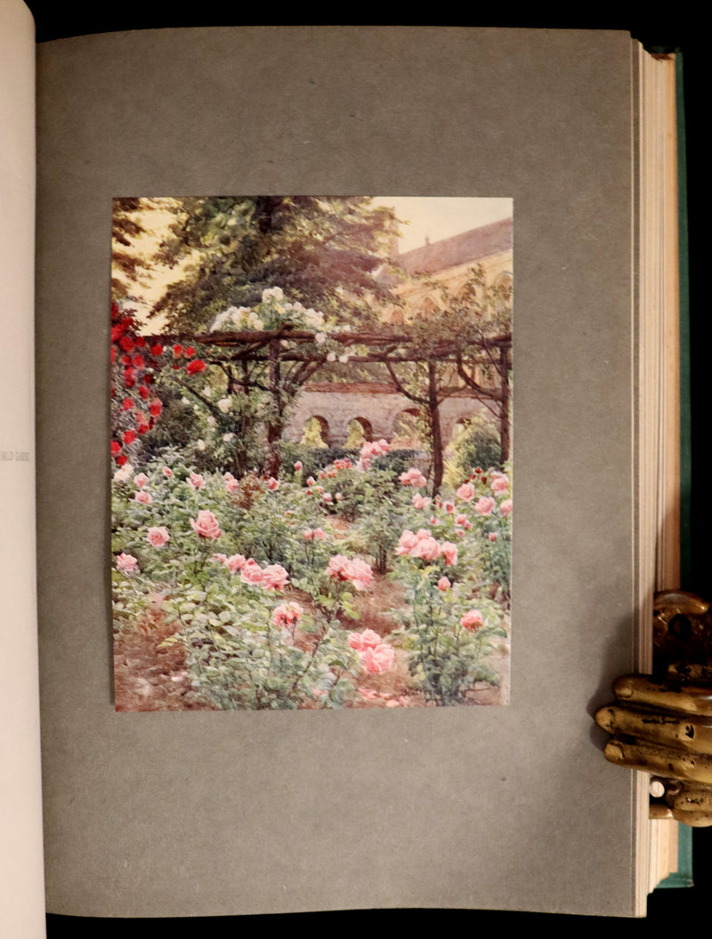 1914 Scarce Gardening Book - ROSES AND ROSE GARDENS by Walter P. Wright.