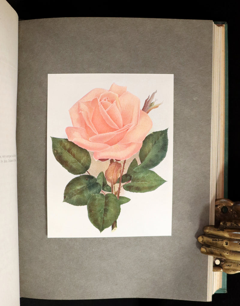 1914 Scarce Gardening Book - ROSES AND ROSE GARDENS by Walter P. Wright.
