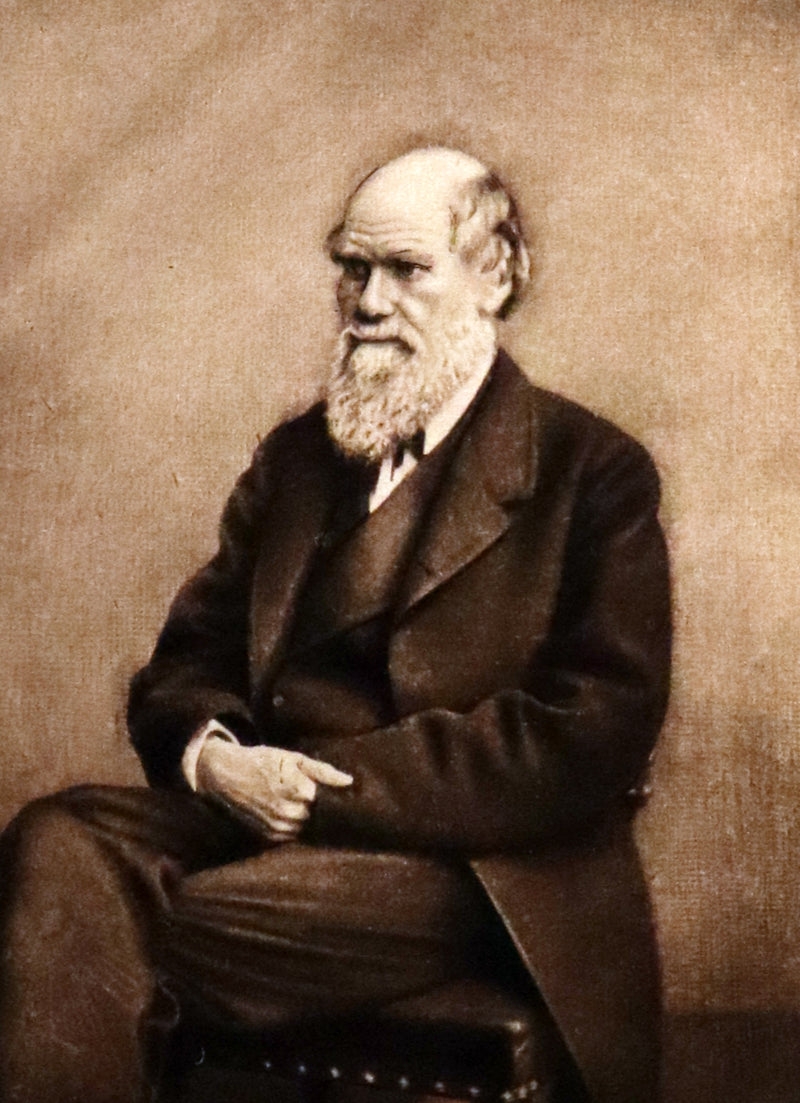 1899 Rare Book - CHARLES DARWIN - The DESCENT OF MAN and Selection in Relation to Sex.