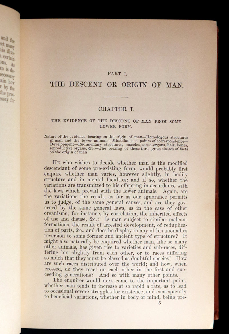 1899 Rare Book - CHARLES DARWIN - The DESCENT OF MAN and Selection in Relation to Sex.