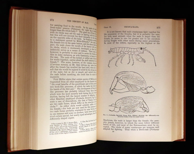 1899 Rare Book - CHARLES DARWIN - The DESCENT OF MAN and Selection in Relation to Sex.