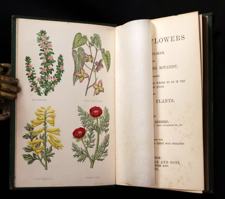 1870 Rare First Edition - FIELD FLOWERS, A handy-book for the rambling by the famous botanist James Shirley Hibberd.