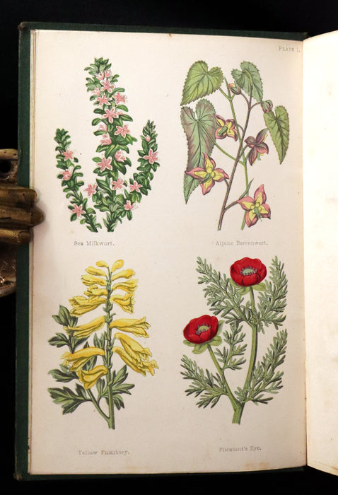 1870 Rare First Edition - FIELD FLOWERS, A handy-book for the rambling by the famous botanist James Shirley Hibberd.