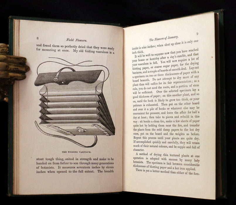 1870 Rare First Edition - FIELD FLOWERS, A handy-book for the rambling by the famous botanist James Shirley Hibberd.