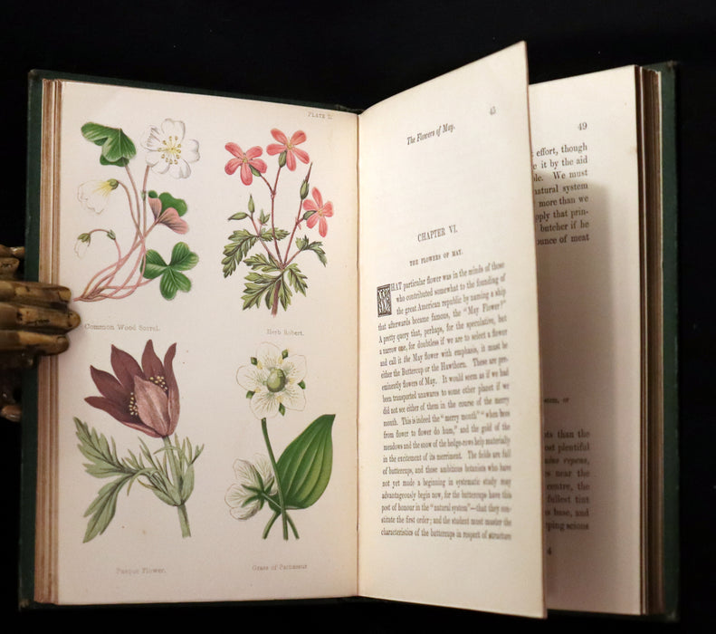 1870 Rare First Edition - FIELD FLOWERS, A handy-book for the rambling by the famous botanist James Shirley Hibberd.