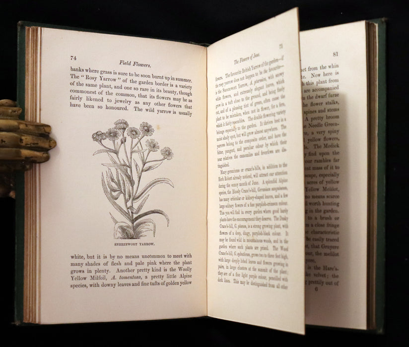 1870 Rare First Edition - FIELD FLOWERS, A handy-book for the rambling by the famous botanist James Shirley Hibberd.