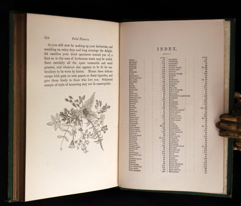 1870 Rare First Edition - FIELD FLOWERS, A handy-book for the rambling by the famous botanist James Shirley Hibberd.