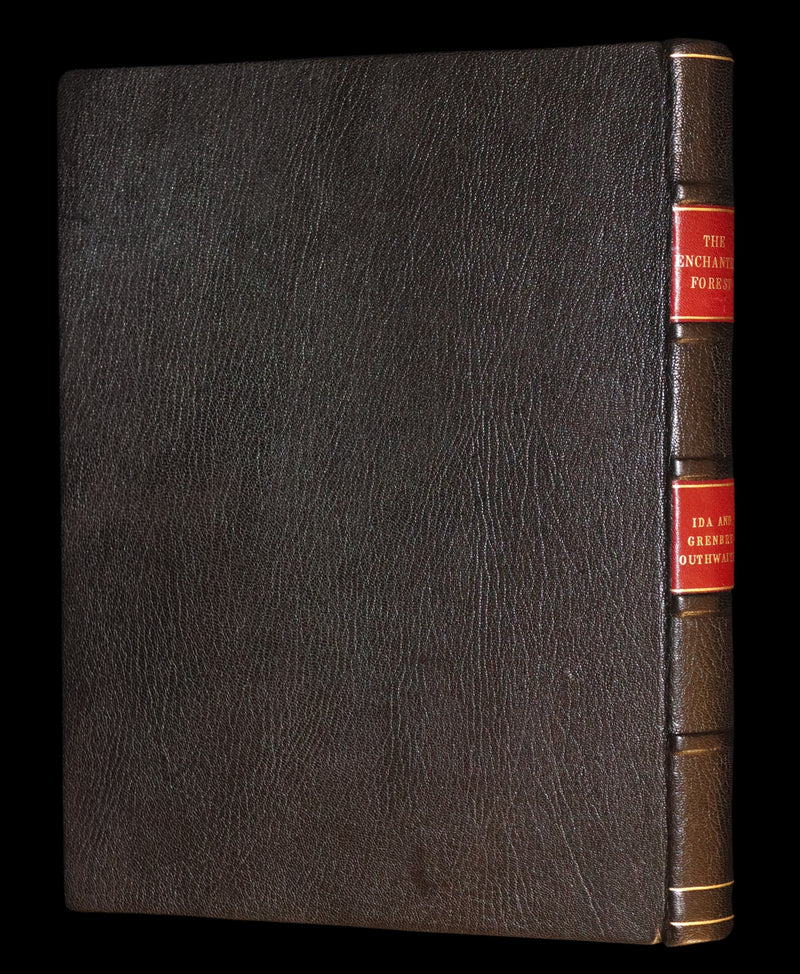 1921 Rare First UK Edition in a beautiful binding ~ THE ENCHANTED FOREST by Ida Rentoul Outhwaite color illustrated.