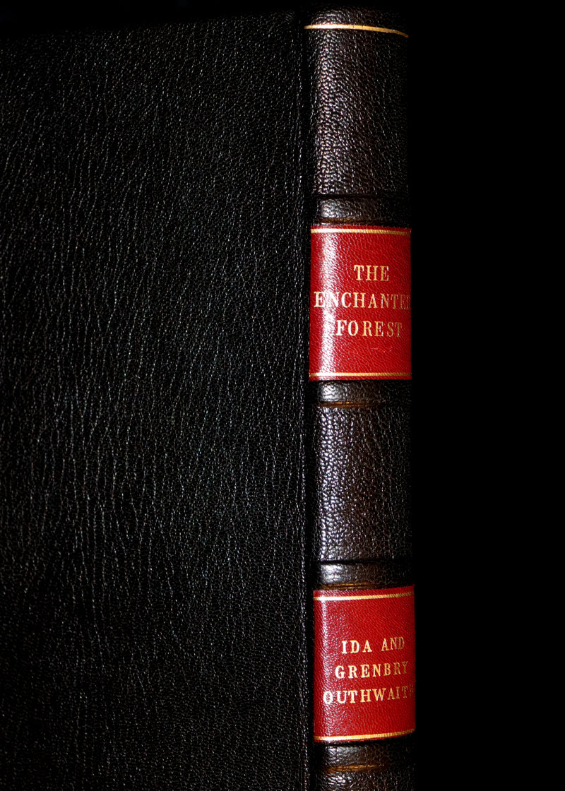 1921 Rare First UK Edition in a beautiful binding ~ THE ENCHANTED FOREST by Ida Rentoul Outhwaite color illustrated.
