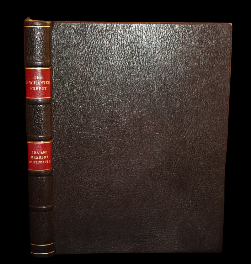 1921 Rare First UK Edition in a beautiful binding ~ THE ENCHANTED FOREST by Ida Rentoul Outhwaite color illustrated.