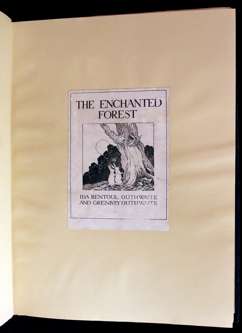 1921 Rare First UK Edition in a beautiful binding ~ THE ENCHANTED FOREST by Ida Rentoul Outhwaite color illustrated.
