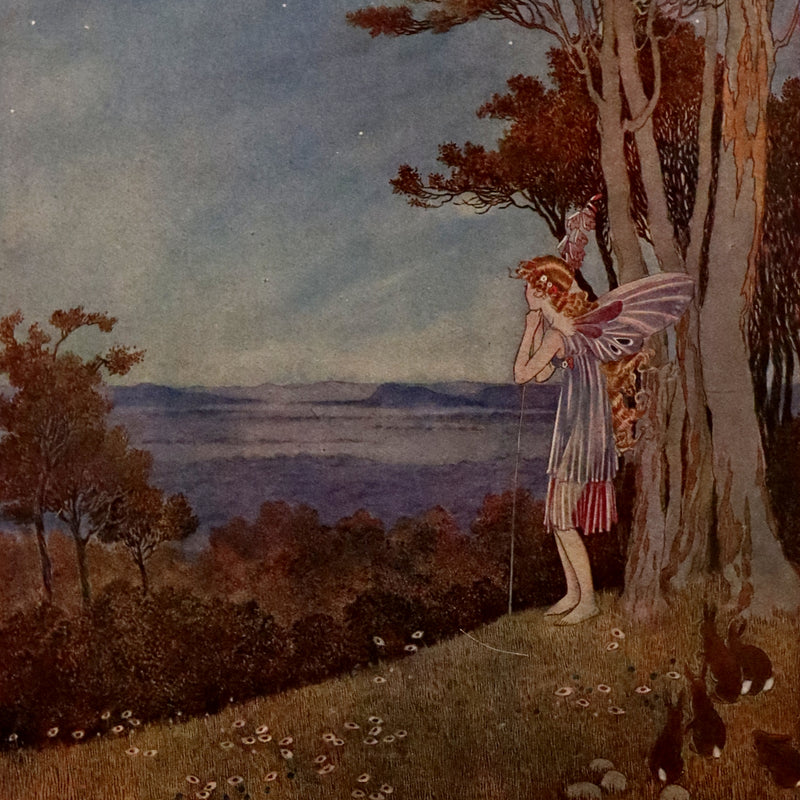 1921 Rare First UK Edition in a beautiful binding ~ THE ENCHANTED FOREST by Ida Rentoul Outhwaite color illustrated.