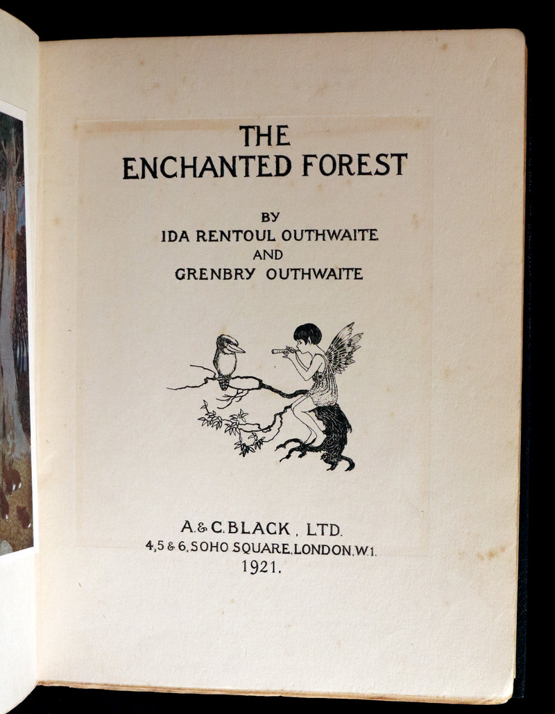 1921 Rare First UK Edition in a beautiful binding ~ THE ENCHANTED FOREST by Ida Rentoul Outhwaite color illustrated.