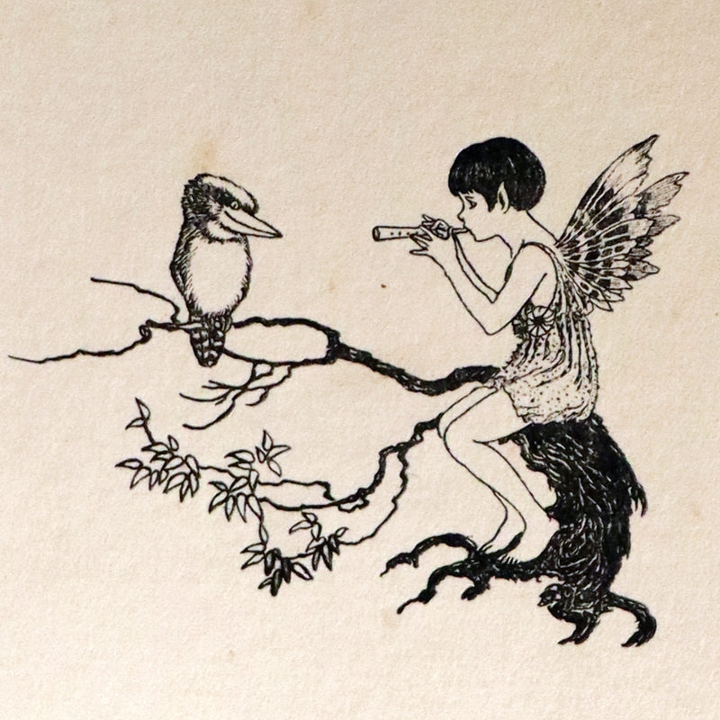 1921 Rare First UK Edition in a beautiful binding ~ THE ENCHANTED FOREST by Ida Rentoul Outhwaite color illustrated.